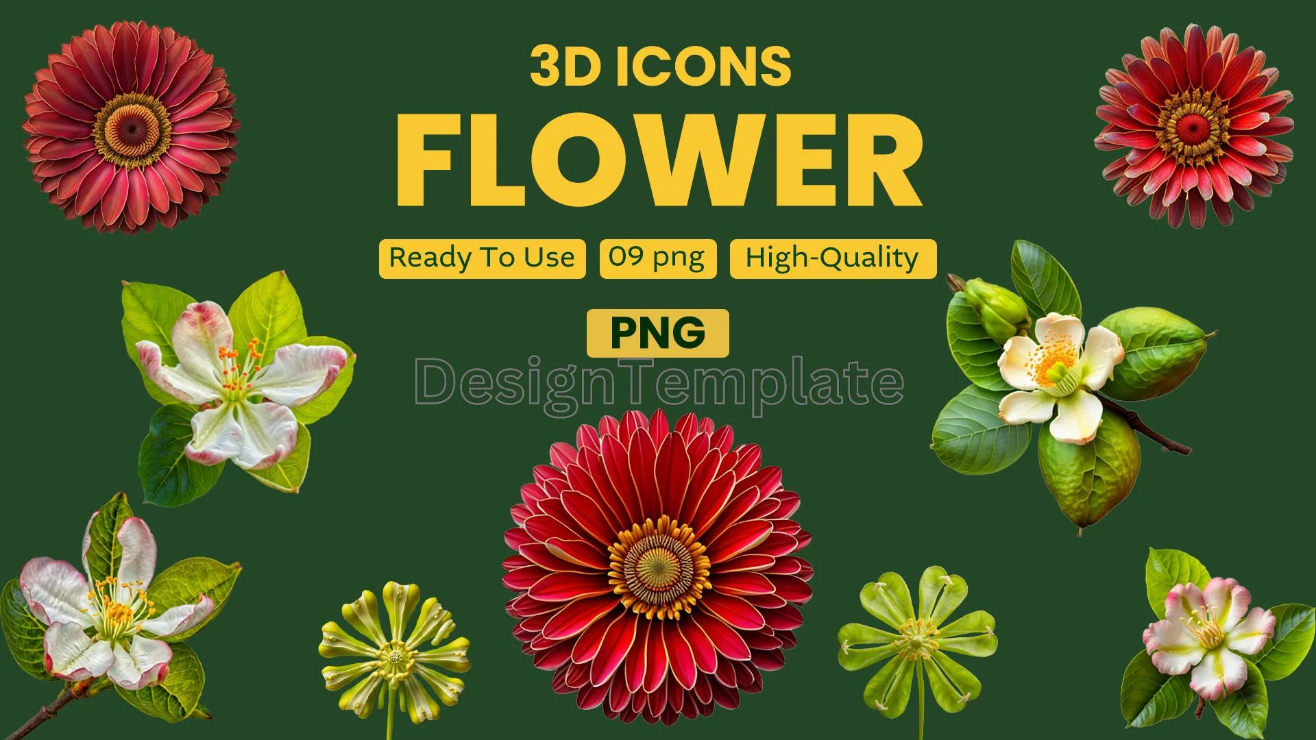 Colorful 3D Flower Elements Pack